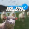 Verificato Boy & Lexotan - Pecorina verificata - Single